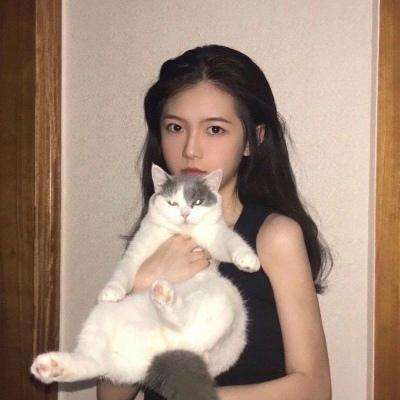 果盘仙风道骨手游bt版下载